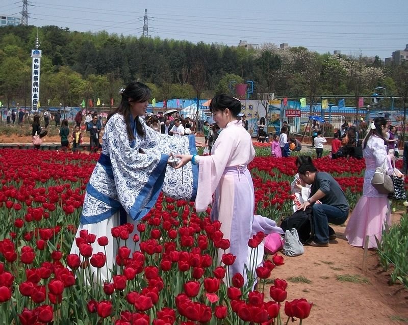 帖子配图 1