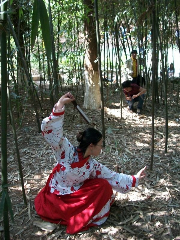 帖子配图 1
