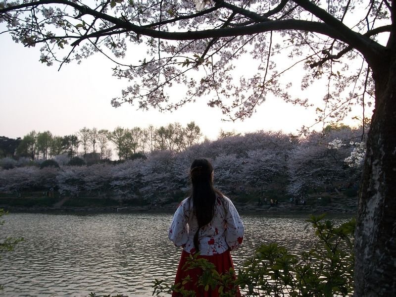 帖子配图 1
