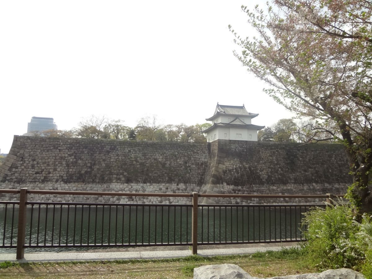 帖子配图 1