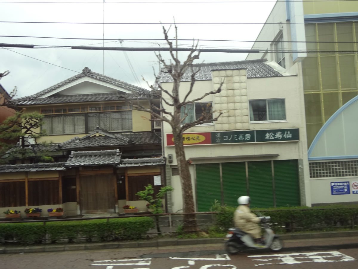 帖子配图 2