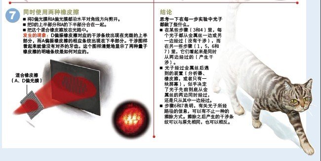 帖子配图 5