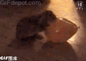 帖子配图 1