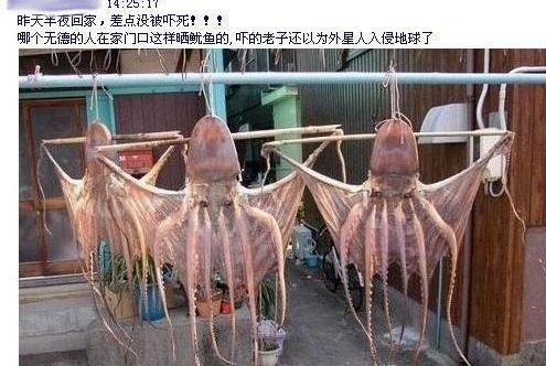 帖子配图 1