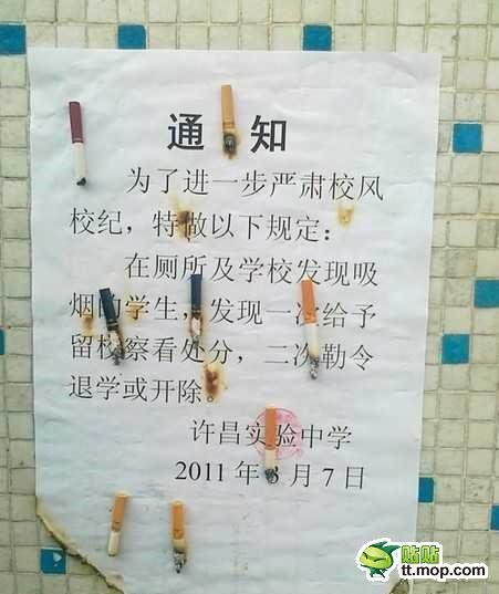 帖子配图 1