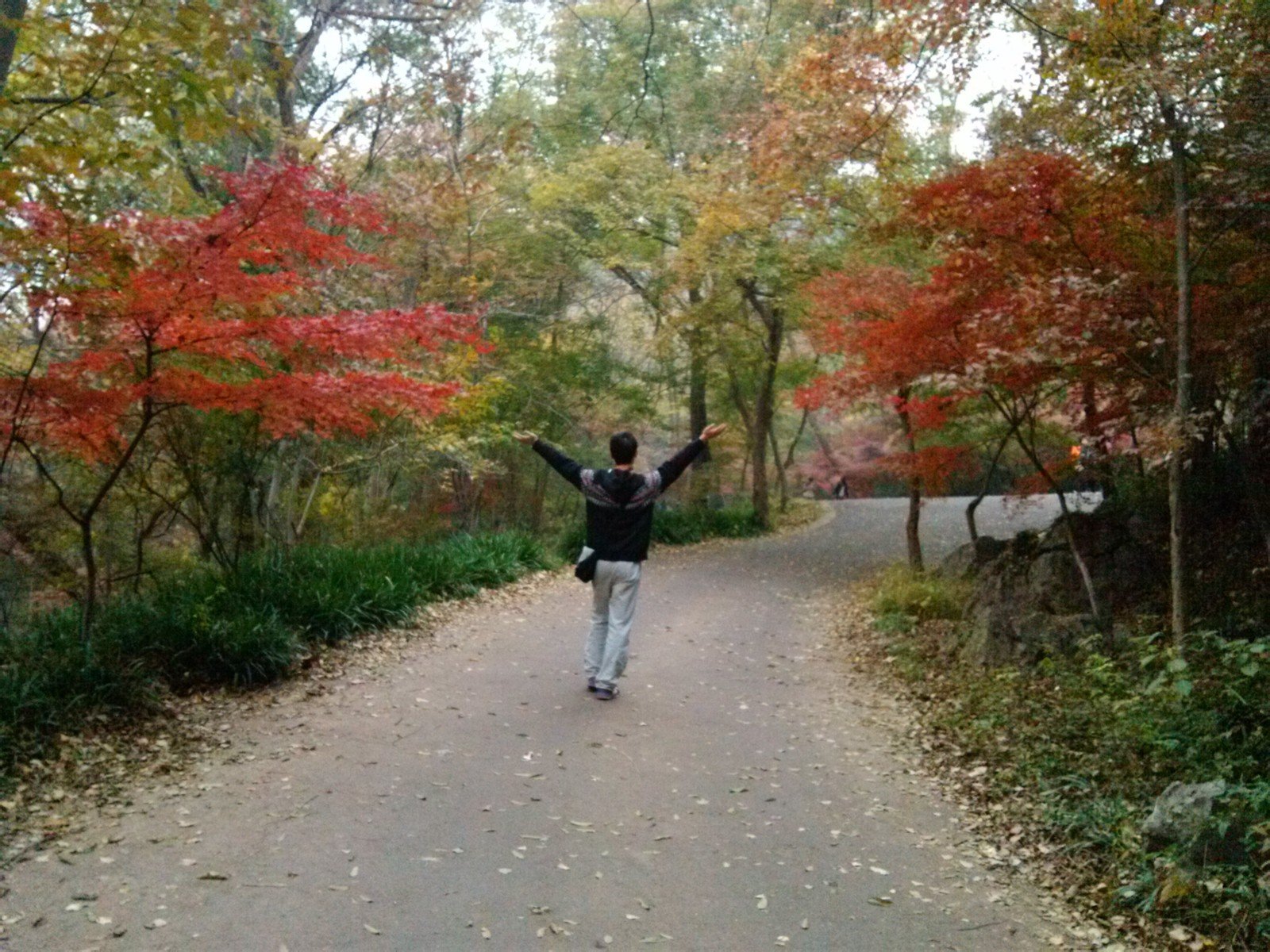 帖子配图 1
