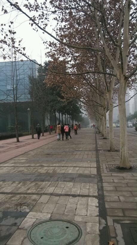 帖子配图 1