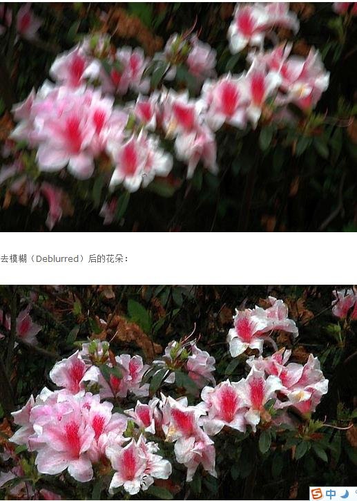 帖子配图 1