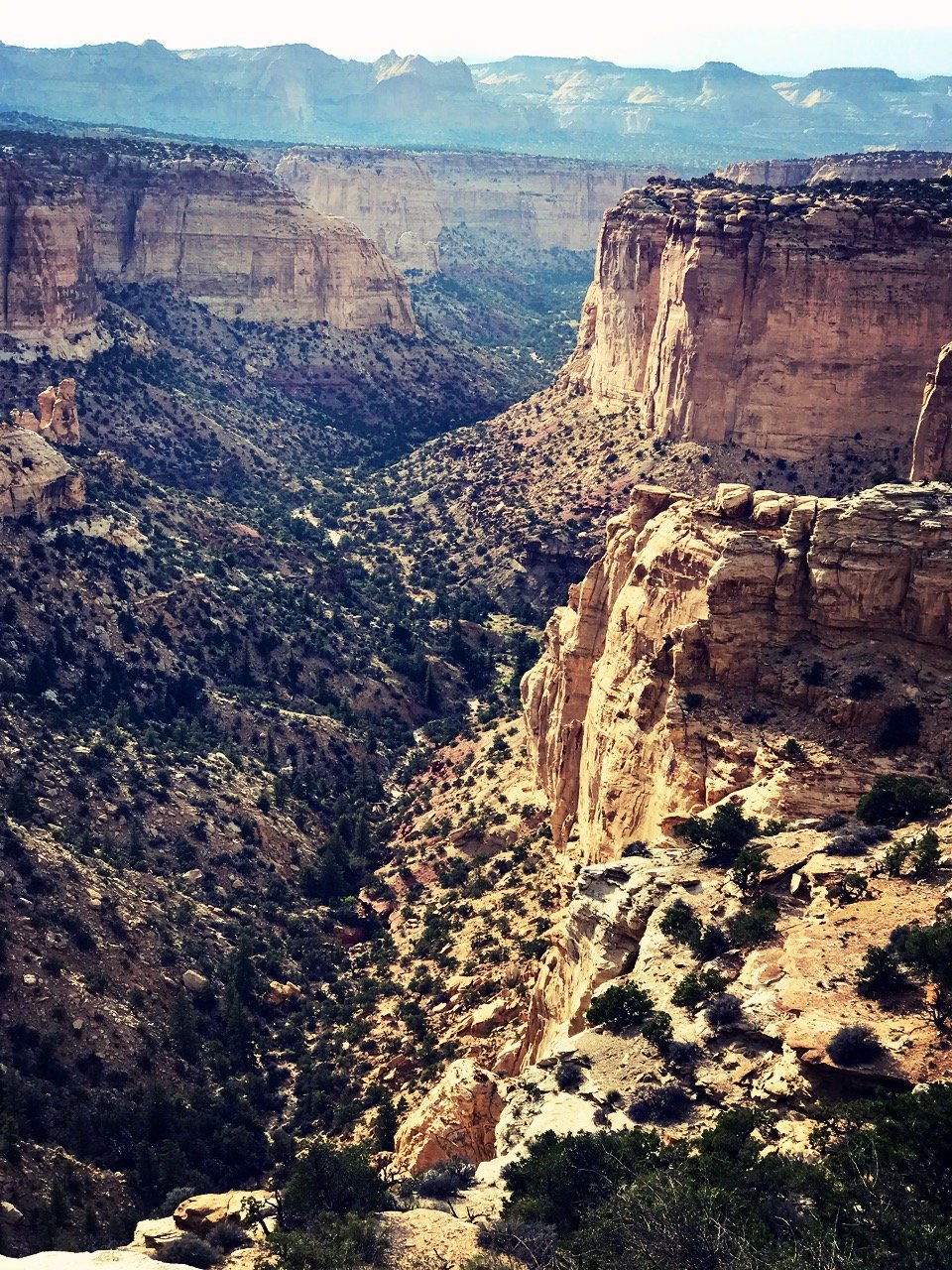 帖子配图 4