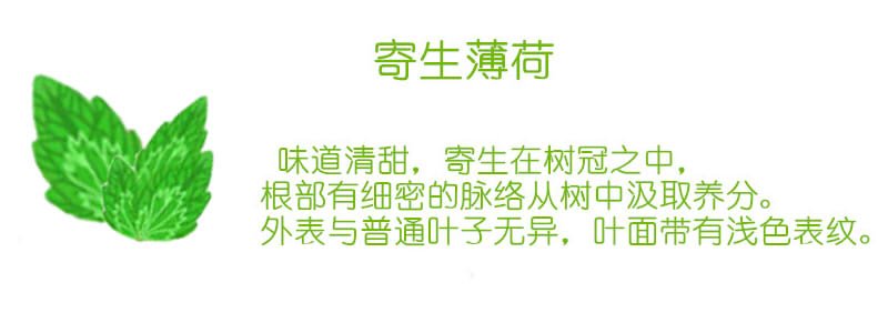 帖子配图 1