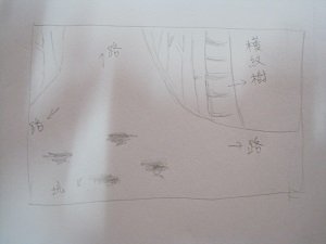 帖子配图 1