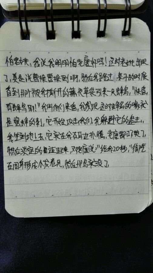 帖子配图 1