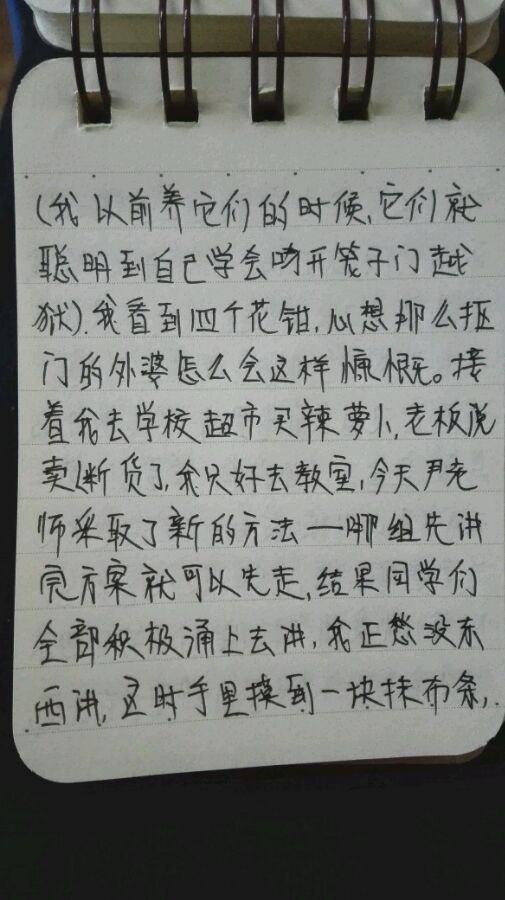 帖子配图 2