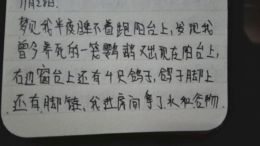 帖子配图 4