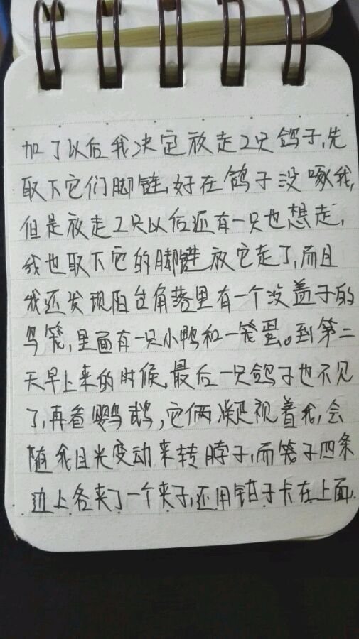 帖子配图 5