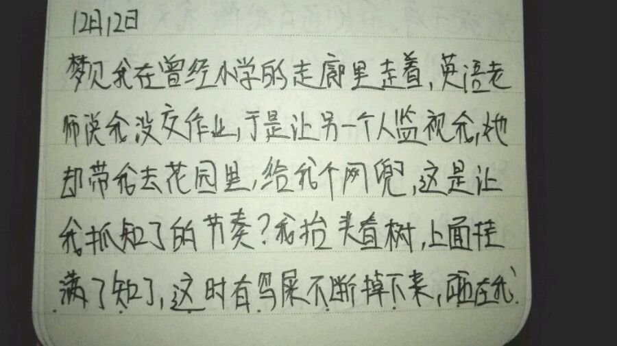 帖子配图 1