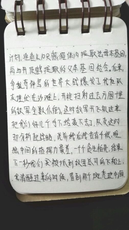 帖子配图 4