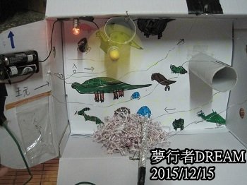 帖子配图 2