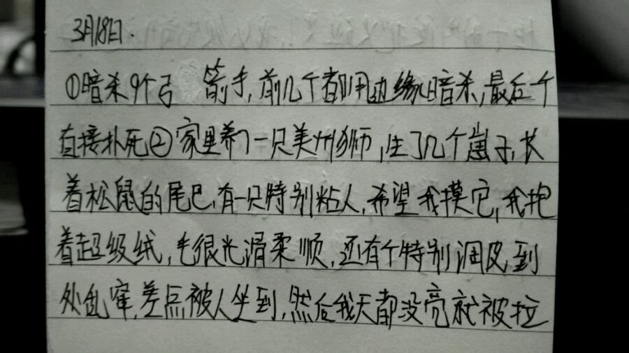 帖子配图 2