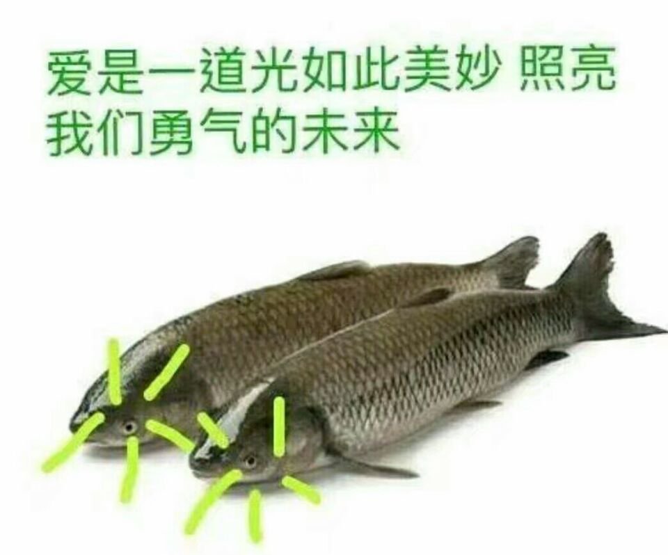 帖子配图 1