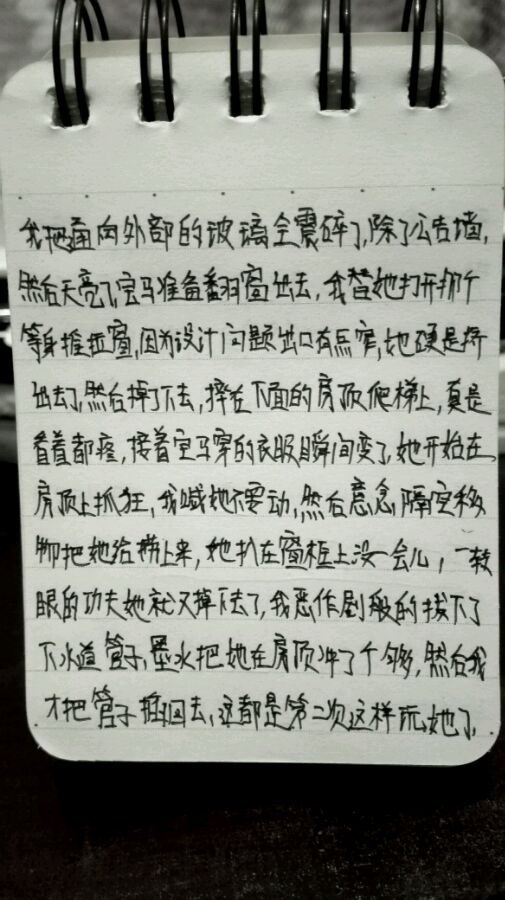 帖子配图 4