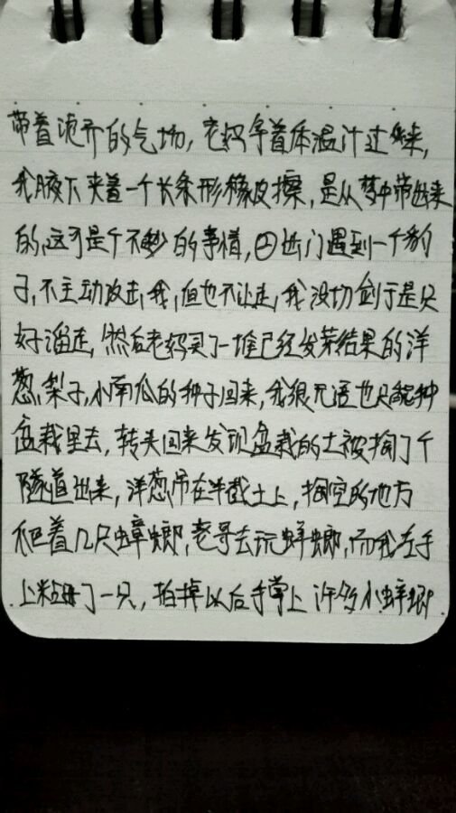 帖子配图 1
