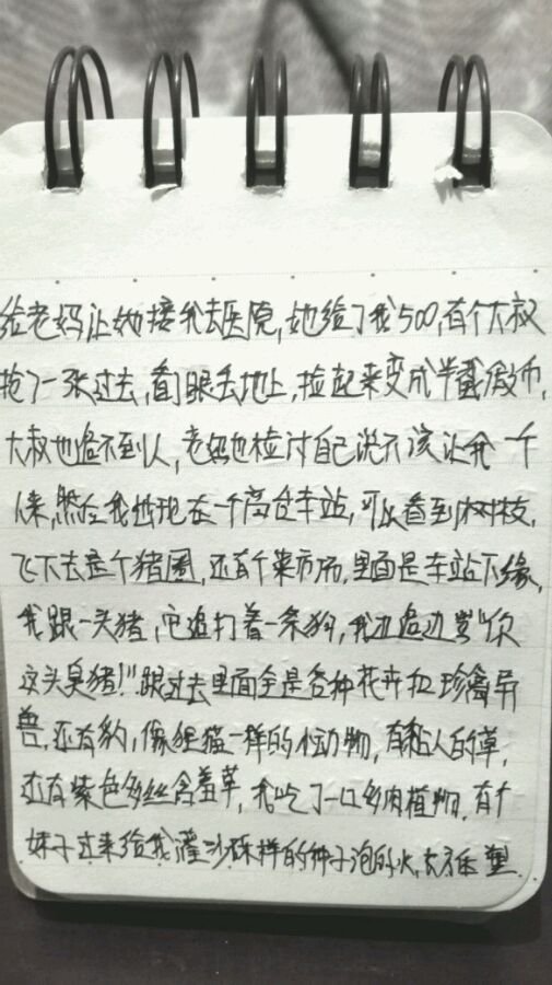 帖子配图 5