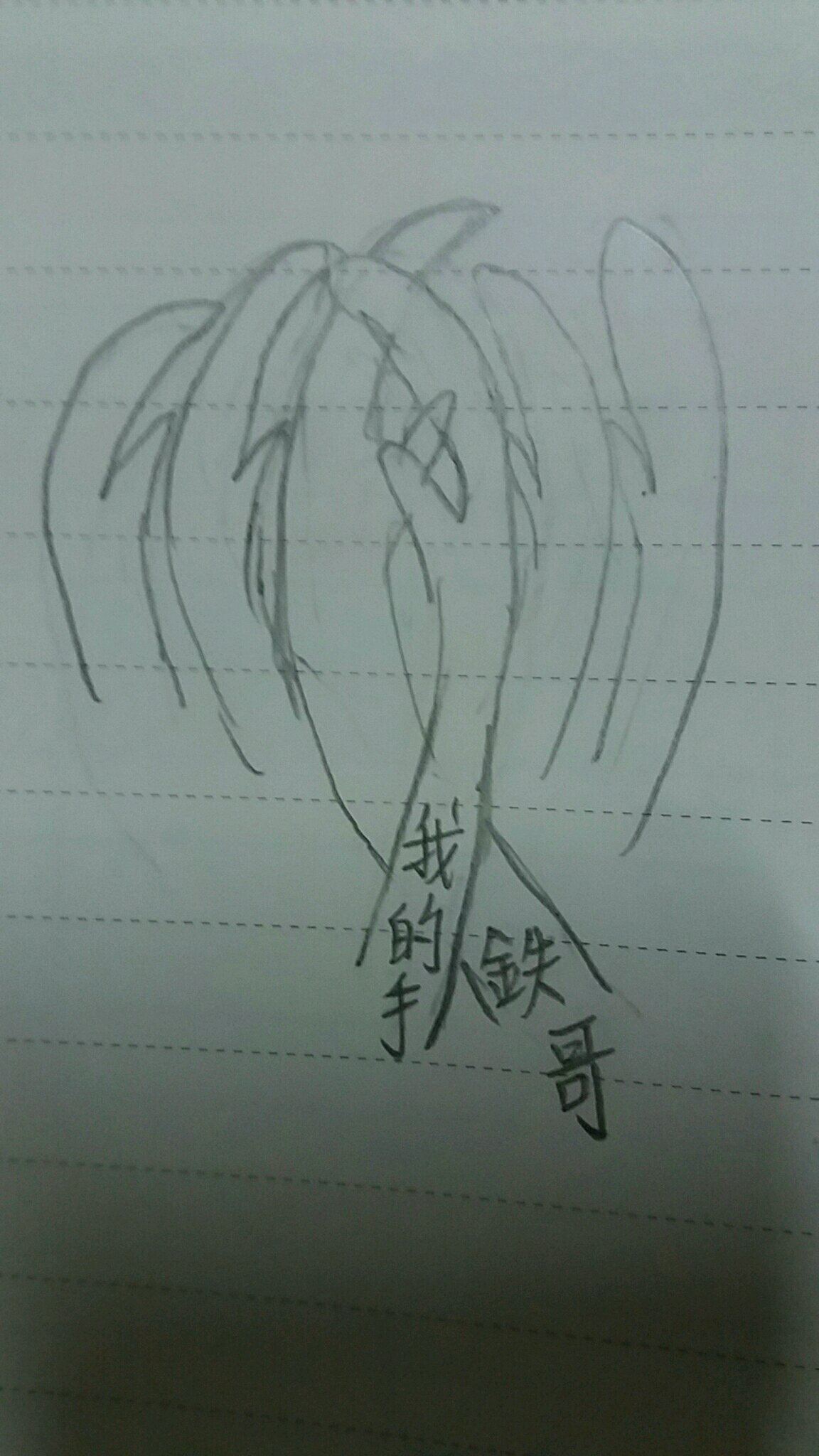 帖子配图 1