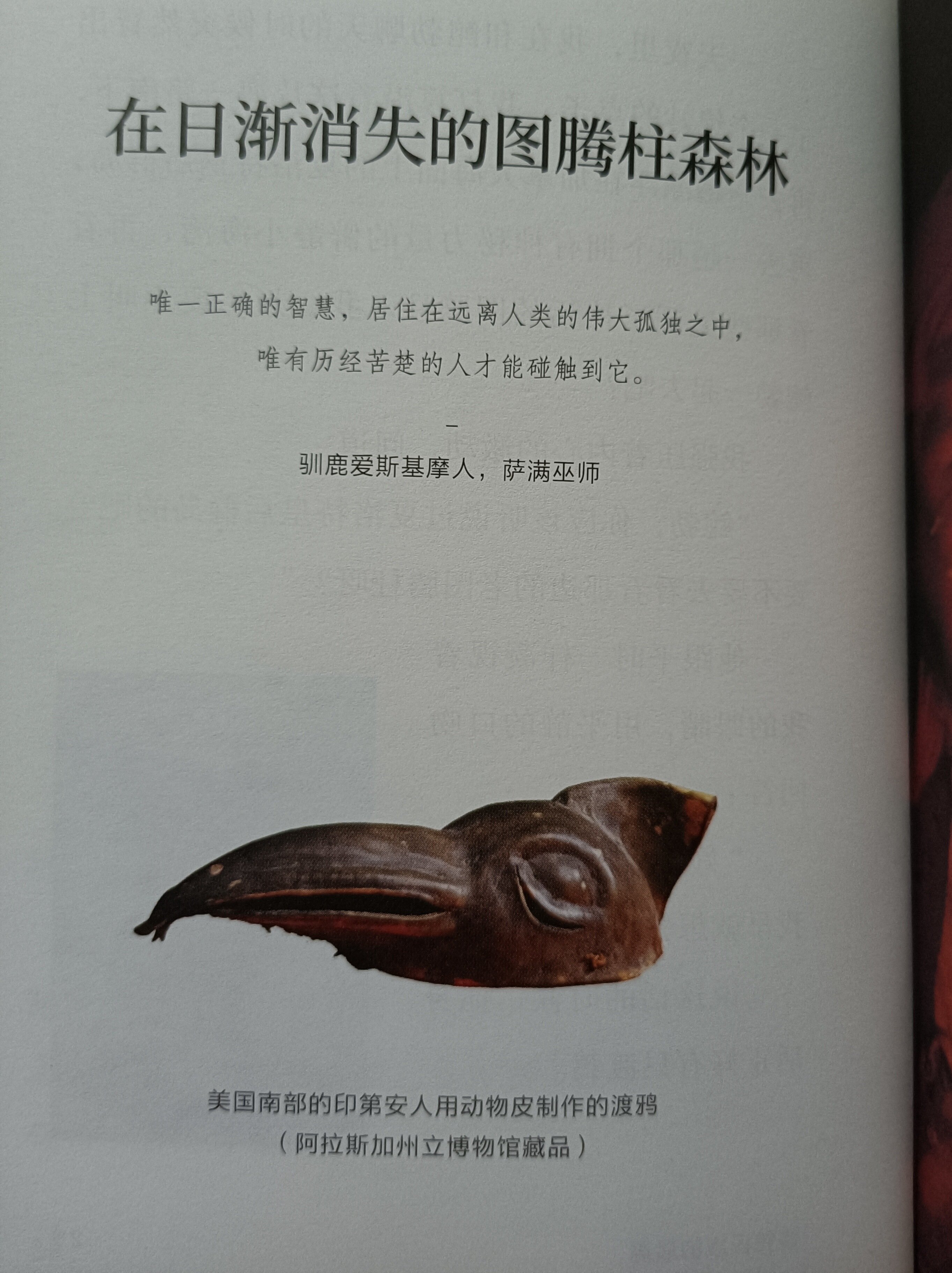 帖子配图 1