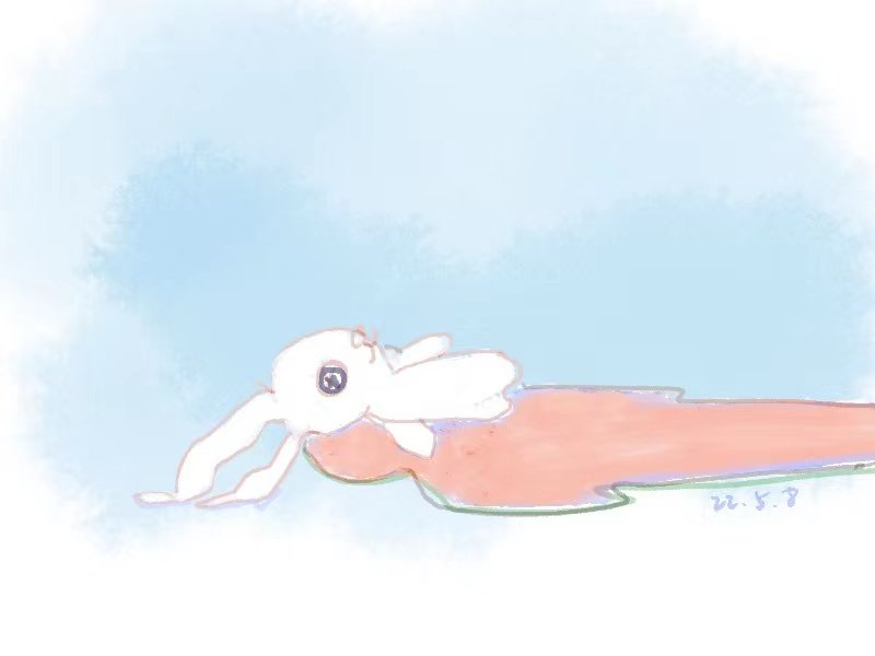 帖子配图 1