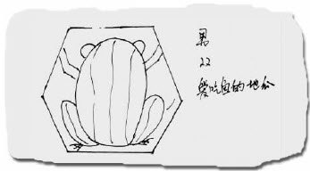 帖子配图 1