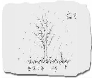 帖子配图 1
