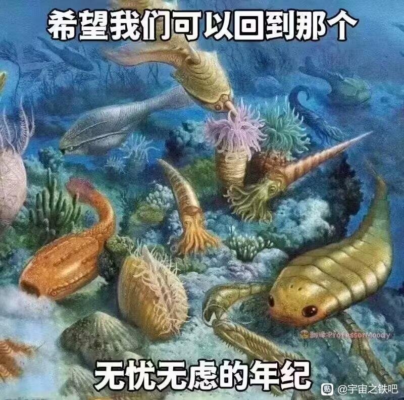 帖子配图 1